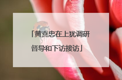 黄喜忠在上犹调研督导和下访接访