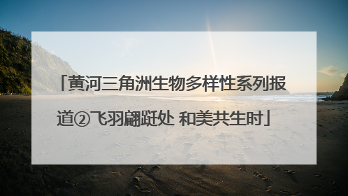 黄河三角洲生物多样性系列报道②飞羽翩跹处 和美共生时