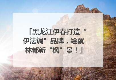 黑龙江伊春打造“伊法调”品牌，绘就林都新“枫”景！