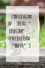 黟县宏潭乡：落实“田长制” 守好良田保“粮仓”