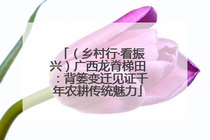 （乡村行·看振兴）广西龙脊梯田：背篓变迁见证千年农耕传统魅力