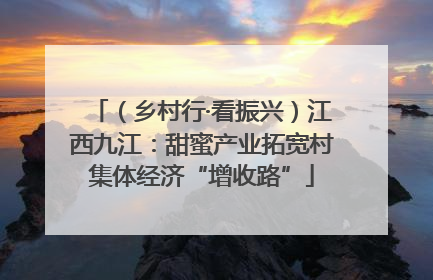 （乡村行·看振兴）江西九江：甜蜜产业拓宽村集体经济“增收路”