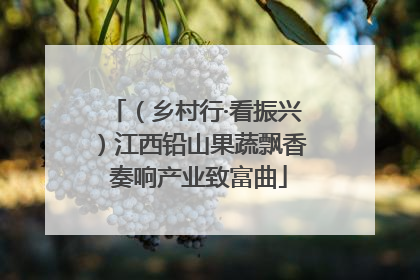 （乡村行·看振兴）江西铅山果蔬飘香 奏响产业致富曲
