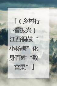 （乡村行·看振兴）江西铜鼓“小杨梅”化身百姓“致富果”