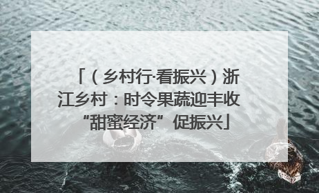 （乡村行·看振兴）浙江乡村：时令果蔬迎丰收 “甜蜜经济”促振兴