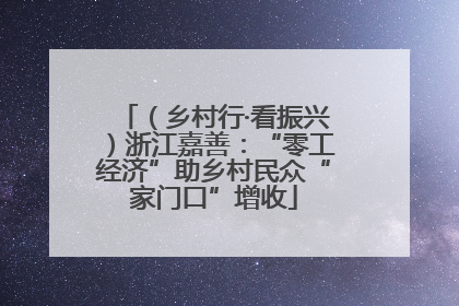 （乡村行·看振兴）浙江嘉善：“零工经济”助乡村民众“家门口”增收