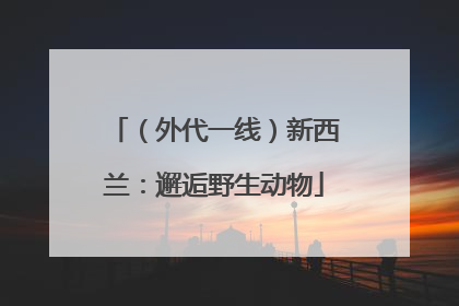 （外代一线）新西兰：邂逅野生动物