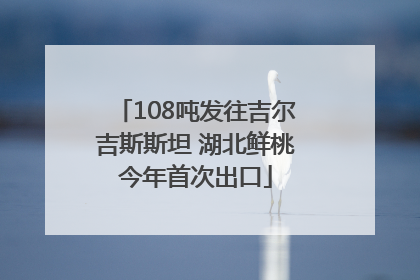 108吨发往吉尔吉斯斯坦 湖北鲜桃今年首次出口