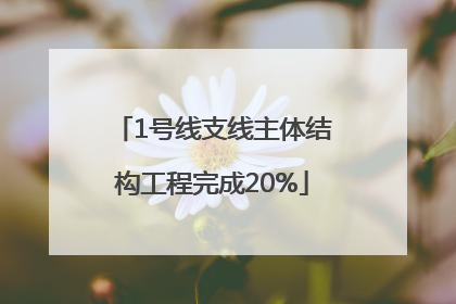 1号线支线主体结构工程完成20%
