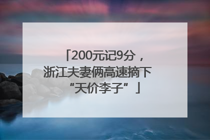 200元记9分，浙江夫妻俩高速摘下“天价李子”