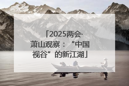 2025两会·萧山观察：“中国视谷”的新江湖