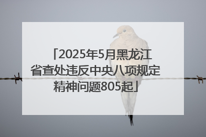 2025年5月黑龙江省查处违反中央八项规定精神问题805起