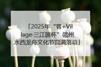 2025年“客+Village·三江匯杯”赣州水西龙舟文化节圆满落幕