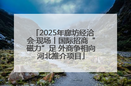 2025年廊坊经洽会·现场丨国际招商“磁力”足 外商争相向河北推介项目