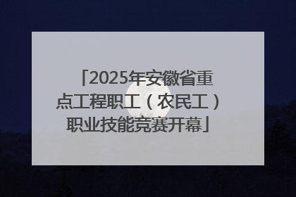 2025年安徽省重点工程职工（农民工）职业技能竞赛开幕