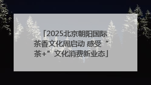 2025北京朝阳国际茶香文化周启动 感受“茶+”文化消费新业态