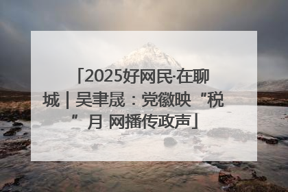 2025好网民·在聊城｜吴聿晟：党徽映“税”月 网播传政声