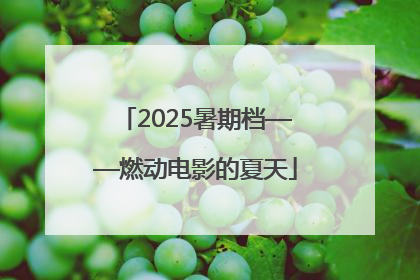 2025暑期档——燃动电影的夏天