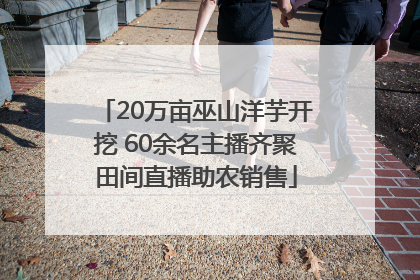 20万亩巫山洋芋开挖 60余名主播齐聚田间直播助农销售