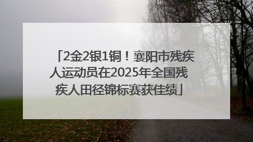 2金2银1铜！襄阳市残疾人运动员在2025年全国残疾人田径锦标赛获佳绩