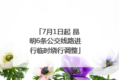 7月1日起 昆明6条公交线路进行临时绕行调整