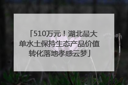 510万元！湖北最大单水土保持生态产品价值转化落地孝感云梦