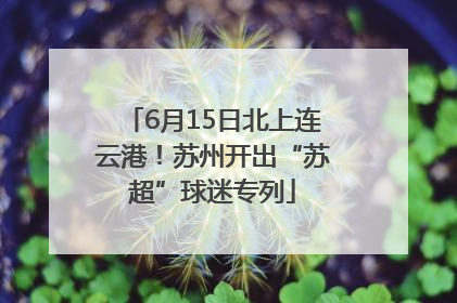 6月15日北上连云港！苏州开出“苏超”球迷专列