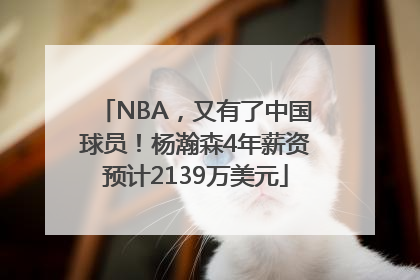 NBA，又有了中国球员！杨瀚森4年薪资预计2139万美元